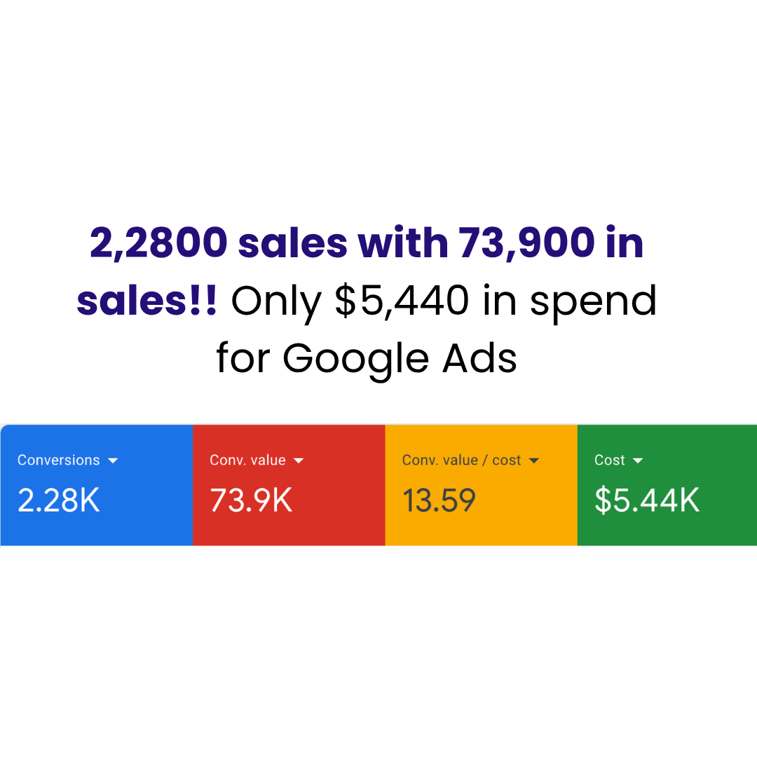Google Ads report showing $22,800 in ad spend against $73,900 in revenue.