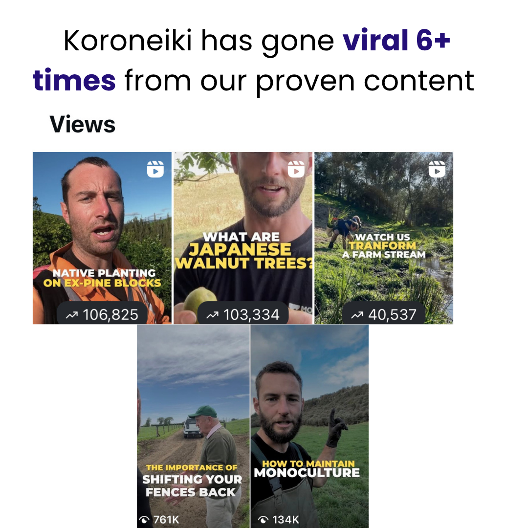 Koroneiki content going viral 6 times over.